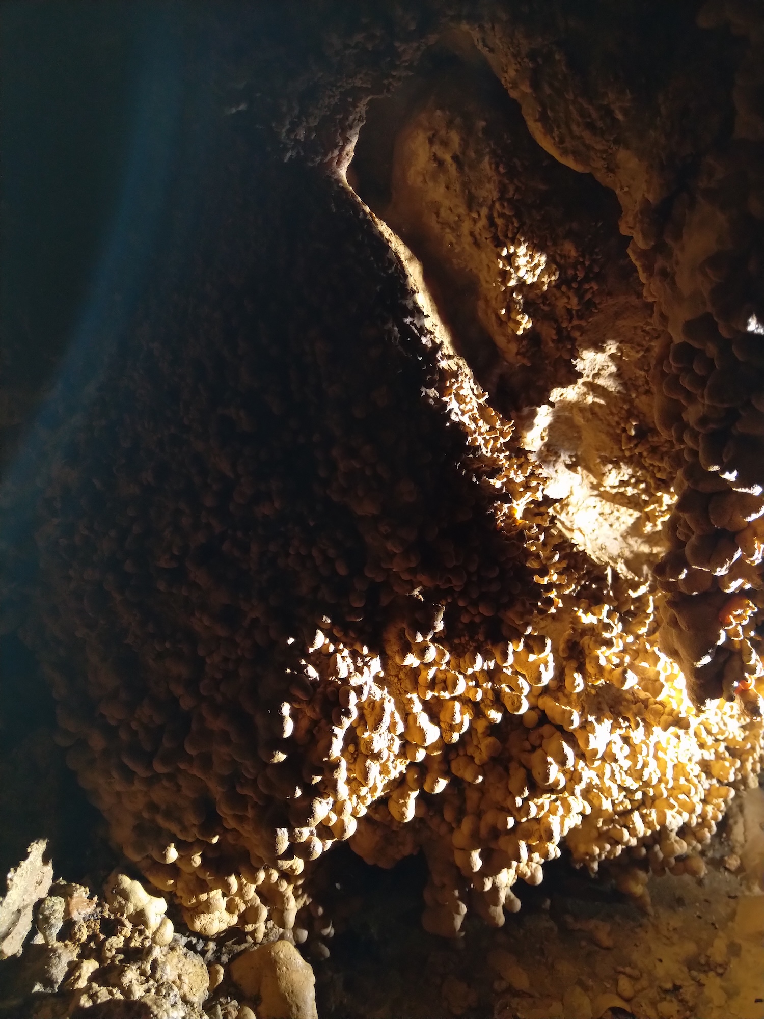 Peștera Nr.8 din Valea Toplița (Avenul Salamandrei) - Image 4